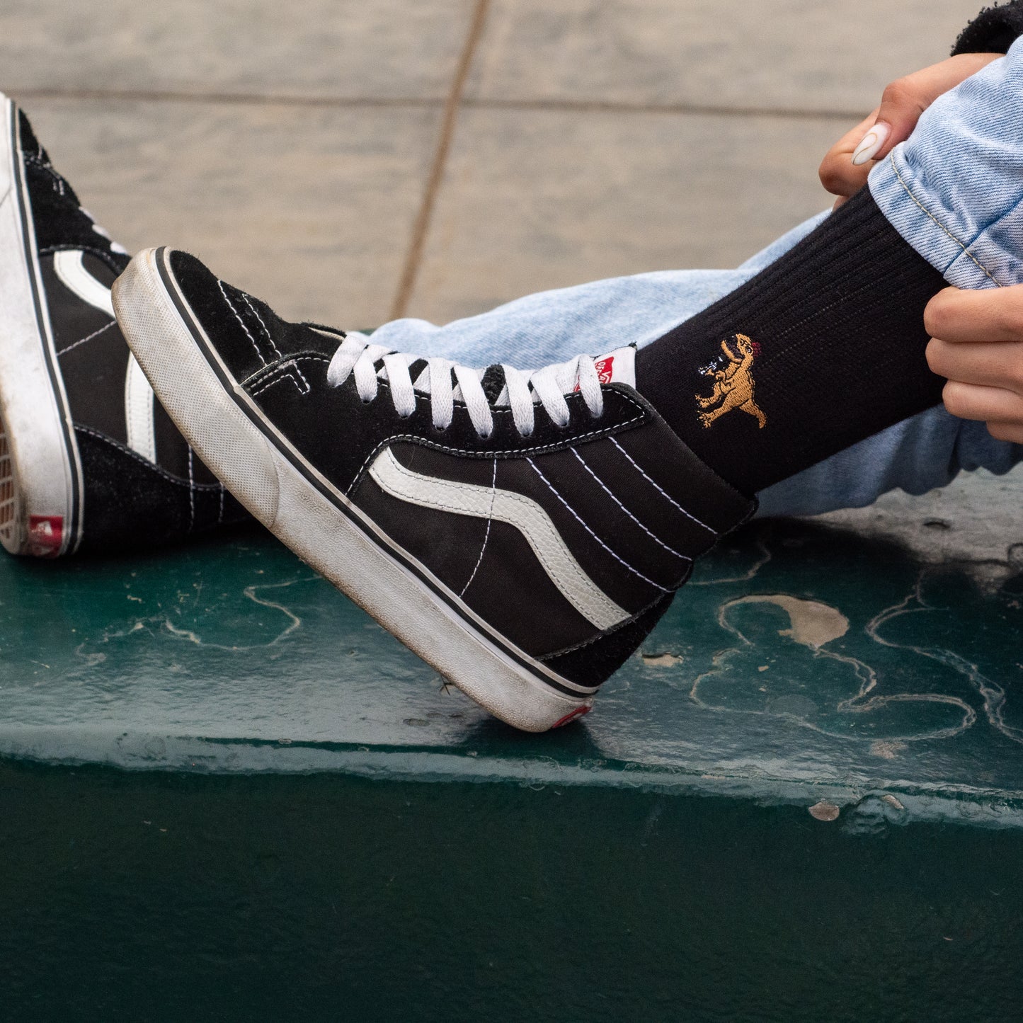 T-REX SOCKS BLACK