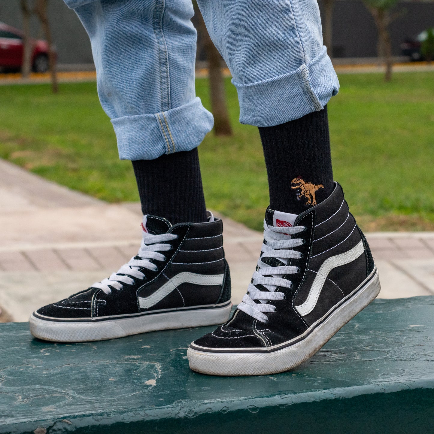 T-REX SOCKS BLACK